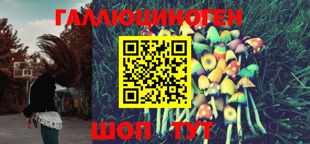 Псилоцибиновые грибы мицелий  Вход с VPN  Саратов 