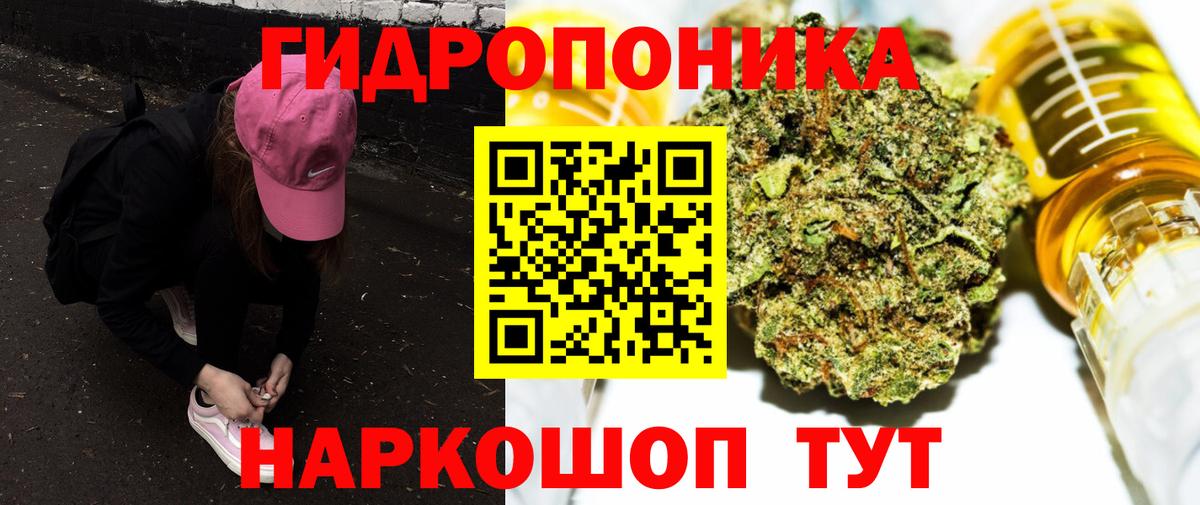 Саратов  Конопля конопля  Вход с VPN  Канабис конопля 